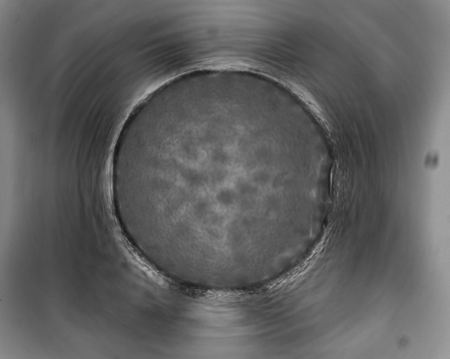 X0000100350840200806130950