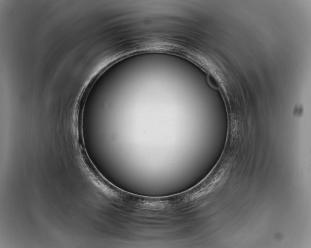 X0000100350843200806130950