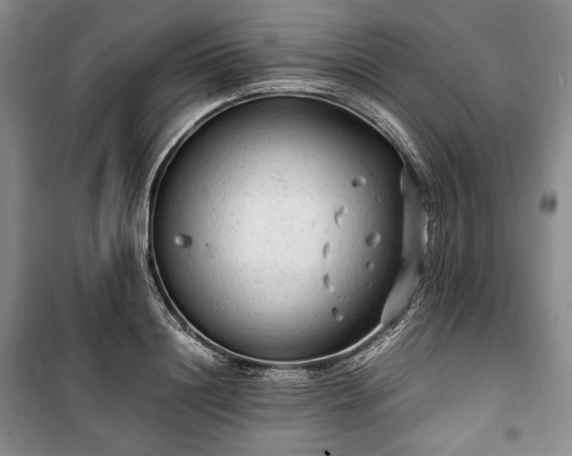 X0000100350844200806130950