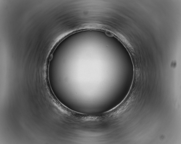 X0000100350846200806130950
