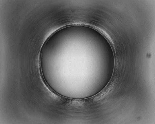 X0000100350847200806130950