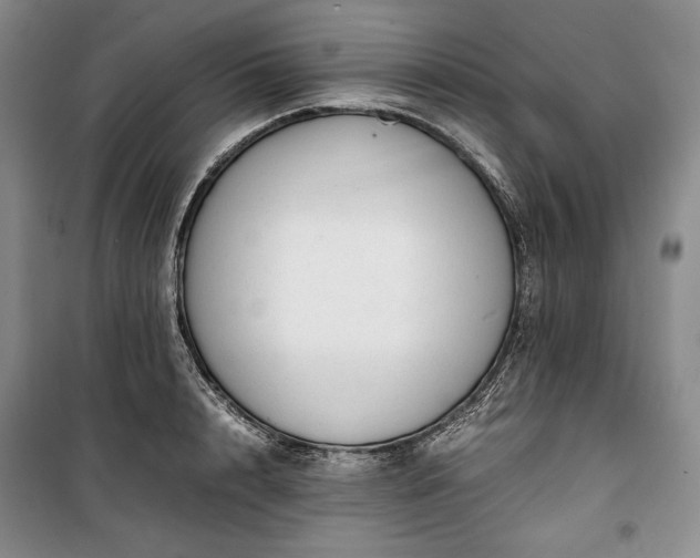 X0000100350848200806130950