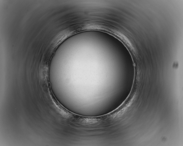X0000100350849200806130950