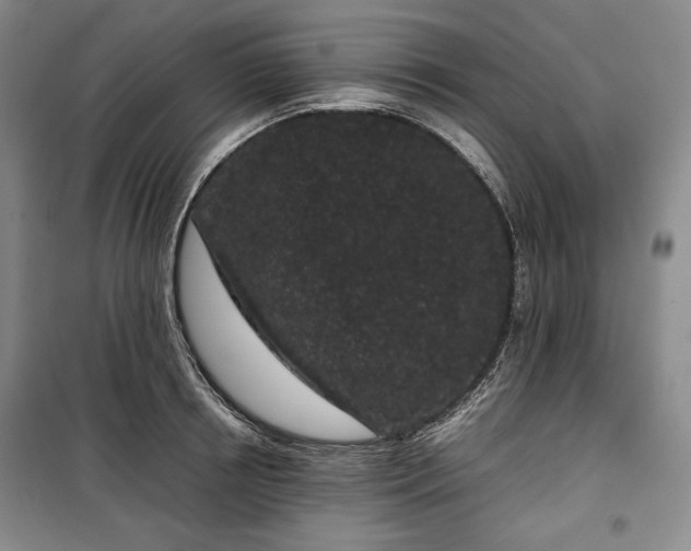 X0000100350850200806130950