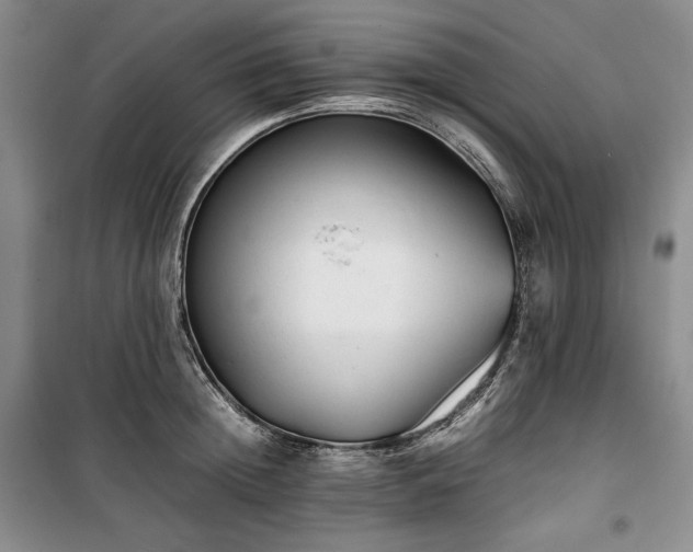 X0000100350852200806130950