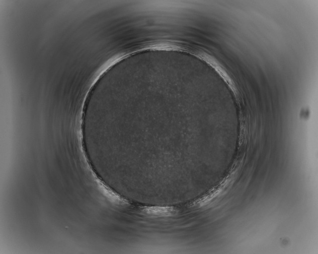 X0000100350853200806130950