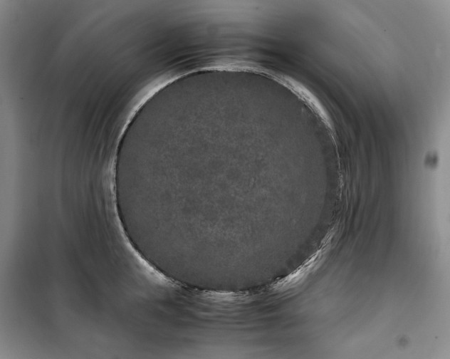 X0000100350855200806130950