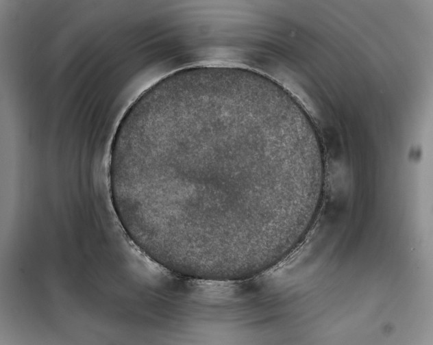 X0000100350856200806130950