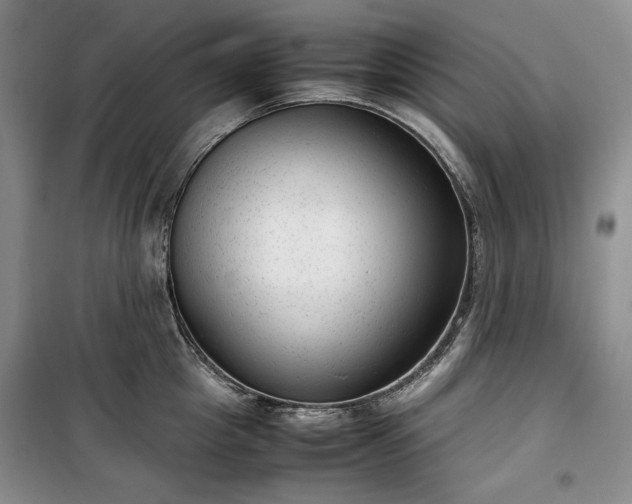 X0000100350857200806130951