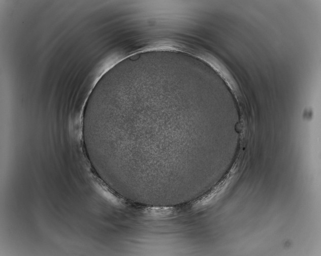 X0000100350858200806130951