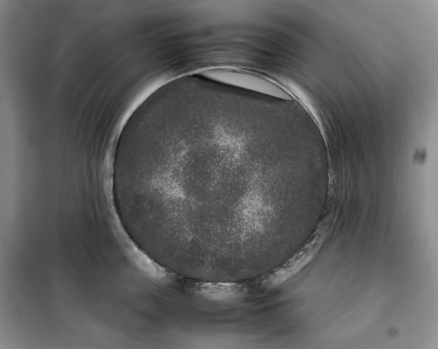 X0000100350859200806130951