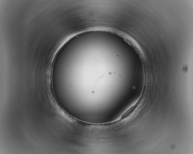 X0000100350860200806130951