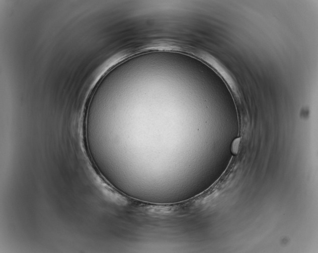 X0000100350861200806130951