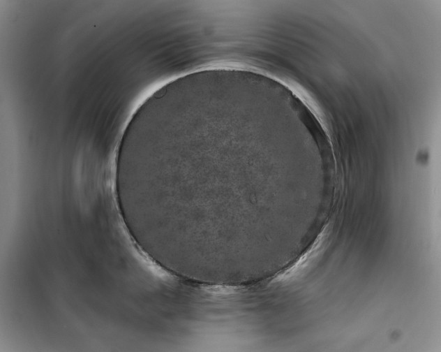 X0000100350862200806130951