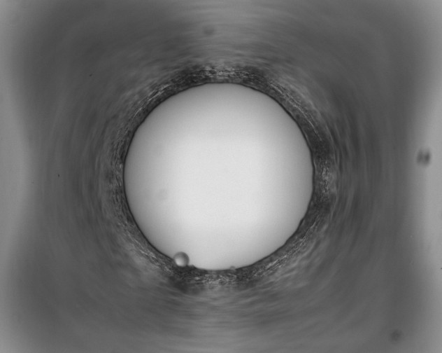 X0000100350865200806130950