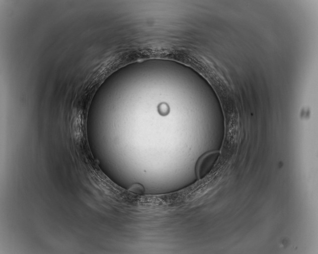X0000100350866200806130950