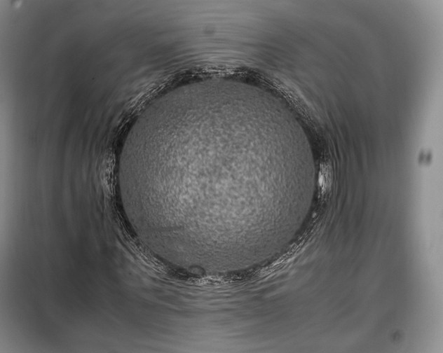 X0000100350867200806130950