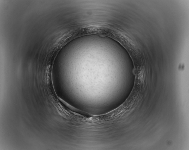 X0000100350868200806130950