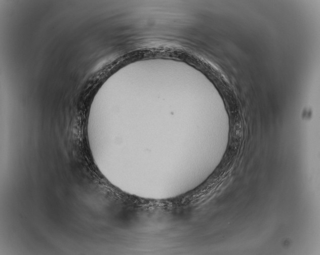 X0000100350869200806130950
