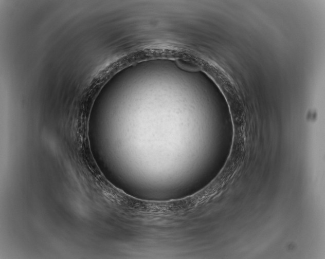 X0000100350870200806130950