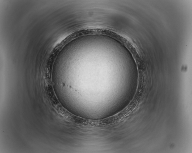 X0000100350871200806130950