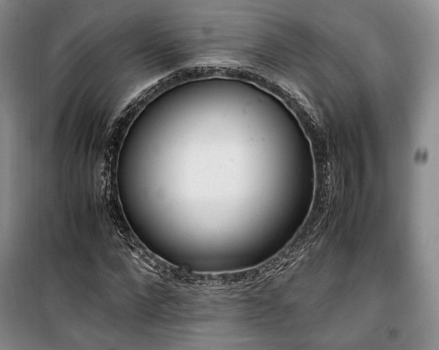 X0000100350872200806130950