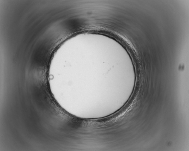 X0000100350873200806130950