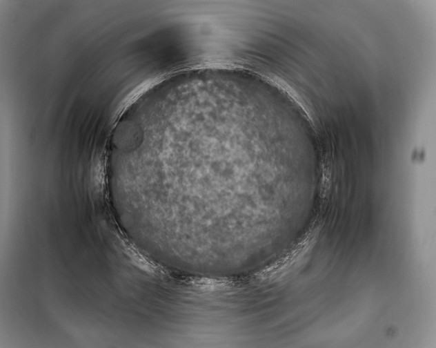 X0000100350874200806130950