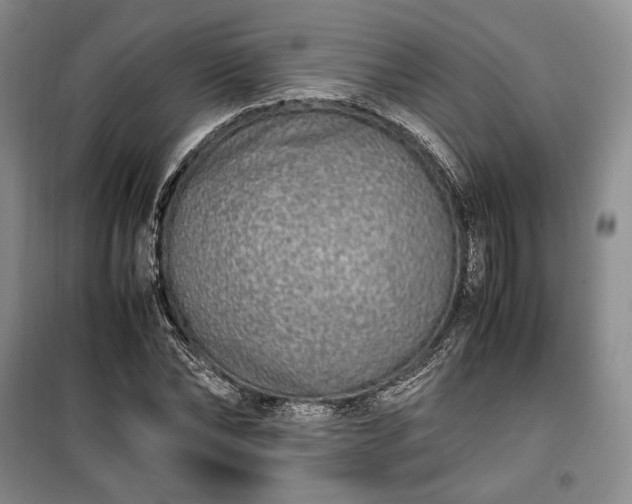 X0000100350878200806130950