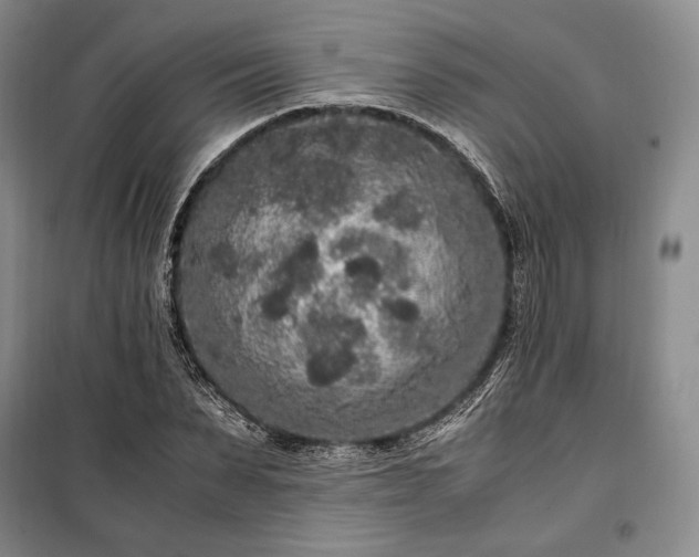 X0000100350879200806130950