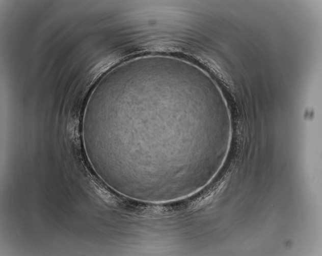 X0000100350881200806130950