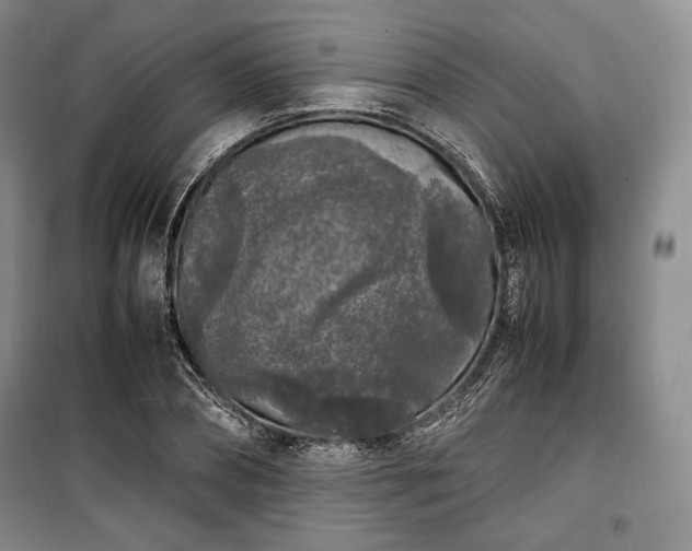 X0000100350882200806130950