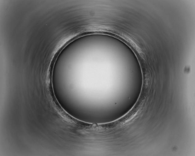 X0000100350885200806130949