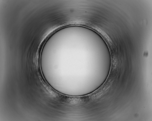 X0000100350886200806130949