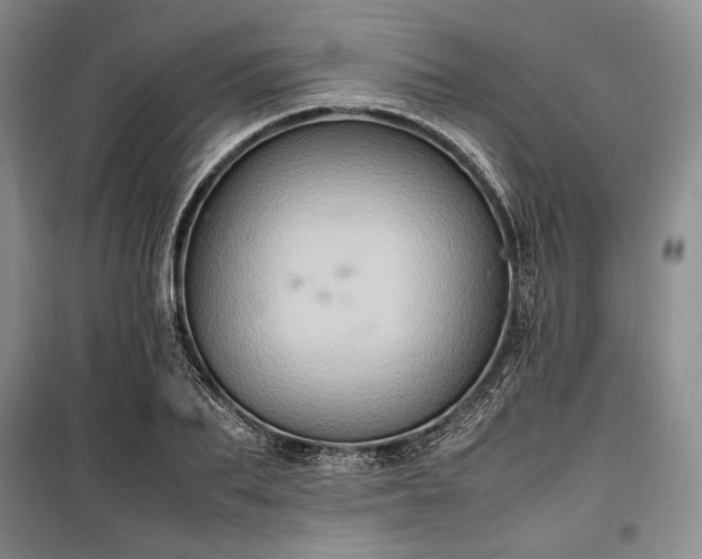X0000100350887200806130949
