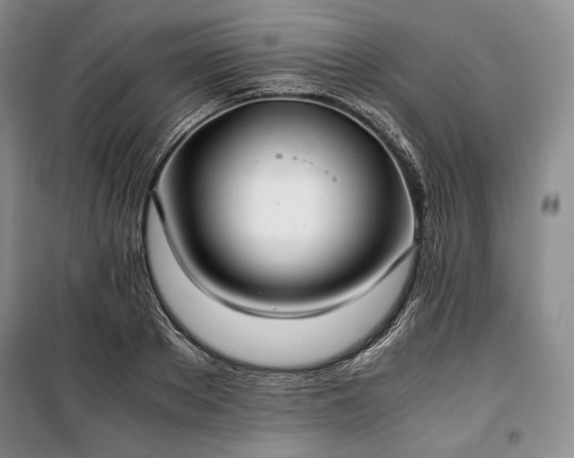 X0000100350889200806130949