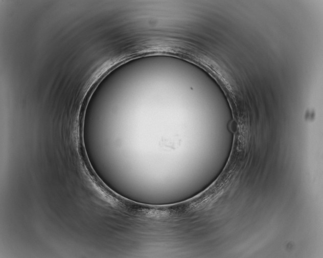 X0000100350890200806130949