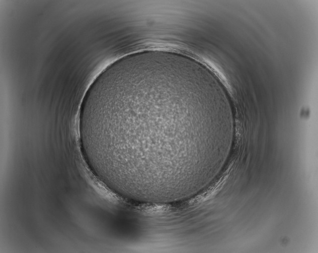 X0000100350891200806130949