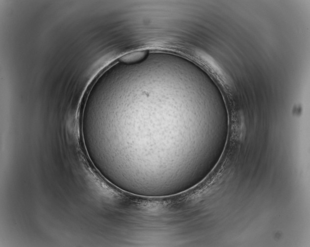X0000100350892200806130949