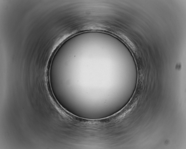 X0000100350893200806130949
