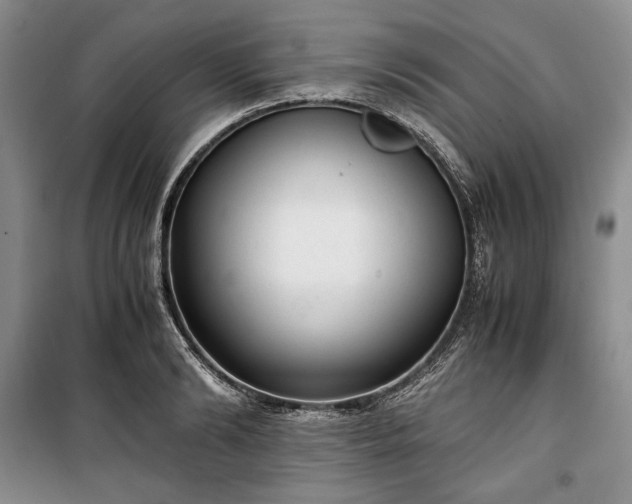 X0000100350894200806130949