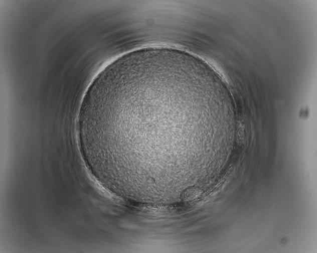 X0000100350895200806130949