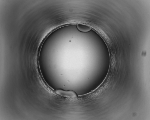 X0000100350896200806130949
