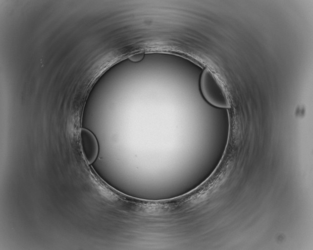 X0000100350897200806130949