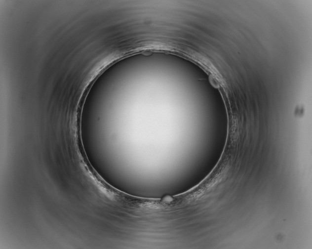 X0000100350898200806130949