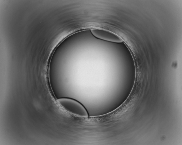 X0000100350901200806130949