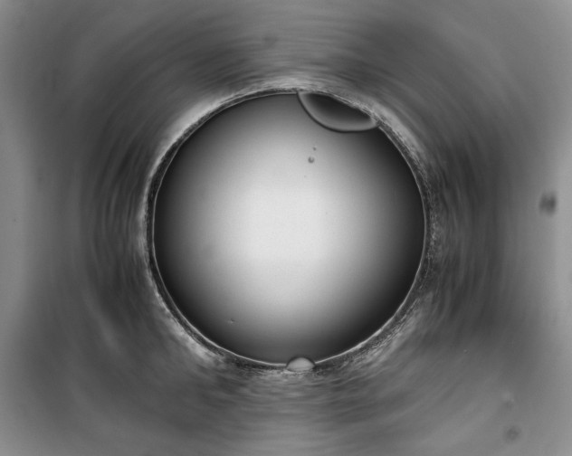 X0000100350902200806130949