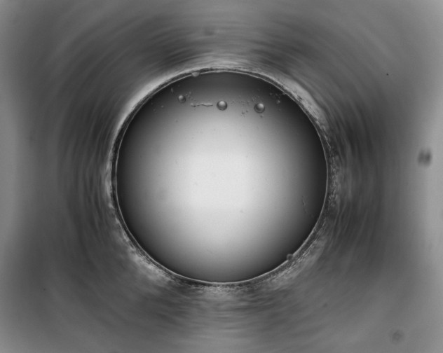 X0000100350904200806130949