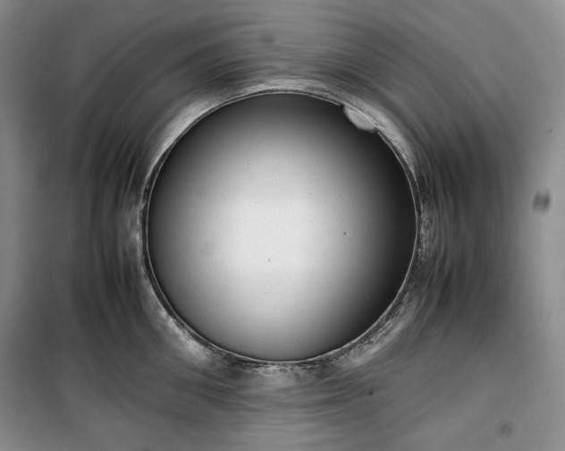 X0000100350906200806130949