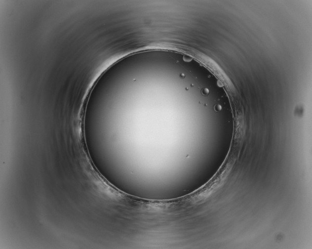 X0000100350908200806130949